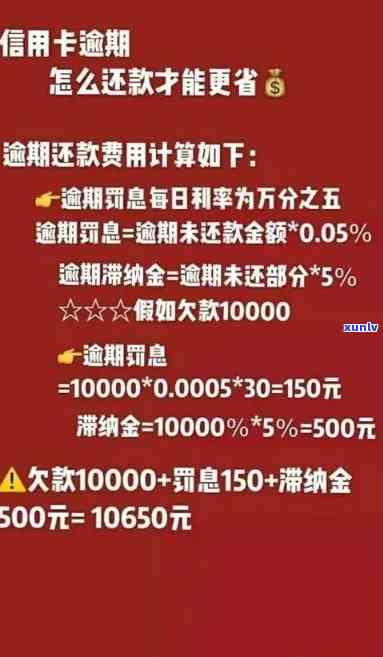 新信用卡逾期还款后，分期利息和更低还款利息是否可以退还？