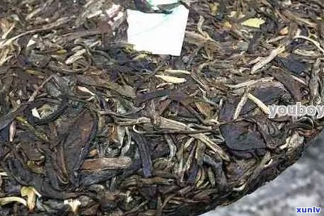 老年人适合饮用哪种普洱茶？普洱茶品种选择与功效分析