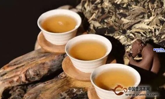 老年人适合饮用哪种普洱茶？普洱茶品种选择与功效分析