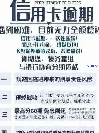 建行信用卡逾期利息减免政策全面解析，如何合理应对逾期还款问题？