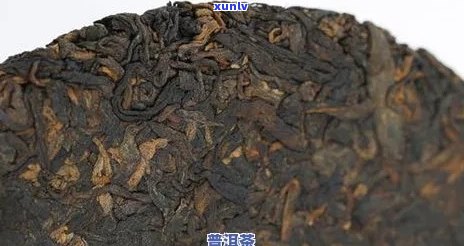 哀牢山老树普洱茶：市场行情与价值解析