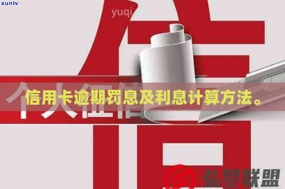 汇通信用卡逾期利息计算方式及标准