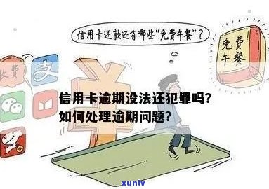 信用卡逾期引发法律纠纷：如何应对法院判刑后果？