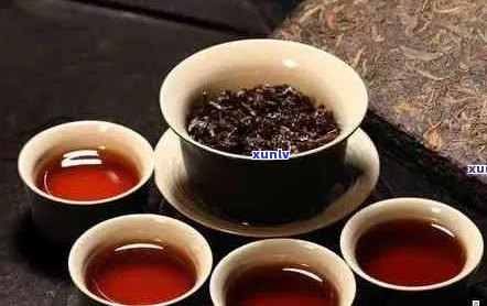 '普洱茶哪个质量好：熟茶和生茶的对比，更便宜和最正宗的排名'