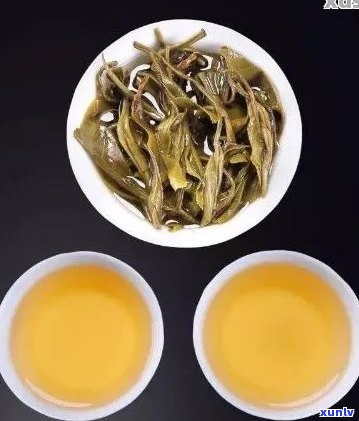 全面评价和推荐口碑的普洱茶 - 为您精选优质茶叶