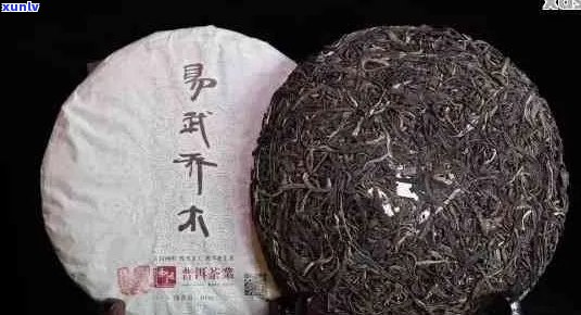 全面评价和推荐口碑的普洱茶 - 为您精选优质茶叶