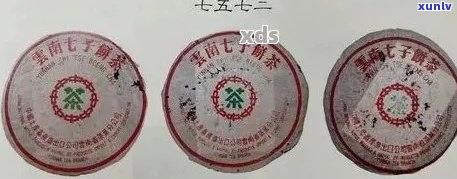 普洱茶标号解析：了解各种标号背后的含义与品质等级