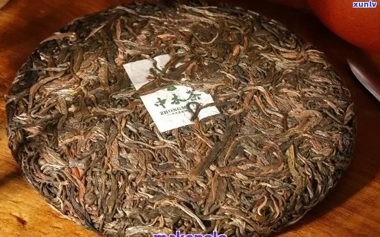 普洱茶的茶号917含义及排名：探究普洱茶的茶号大全