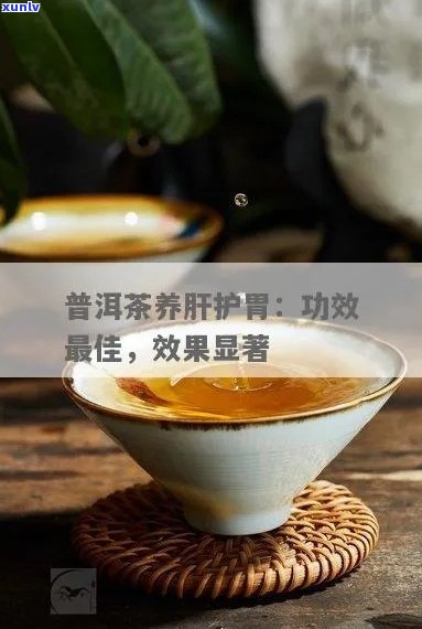 普洱茶排养肝效果如何？喝普洱茶对肝脏有帮助吗？