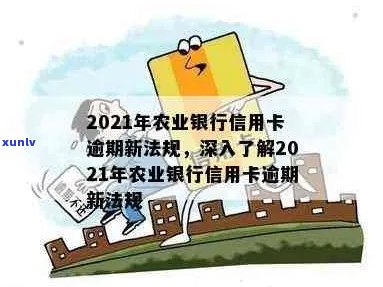 '2021年农业银行信用卡逾期新法规：全面解读新规定与影响'