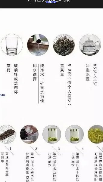 传奇茶叶：品质、产地、泡法与口感全面解析，助您挑选最适合的茶叶