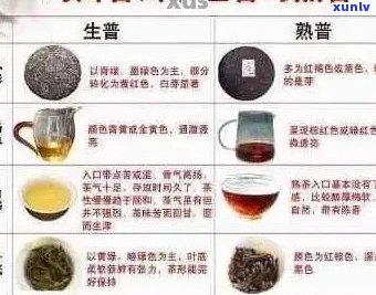 传奇茶叶：品质、产地、泡法与口感全面解析，助您挑选最适合的茶叶