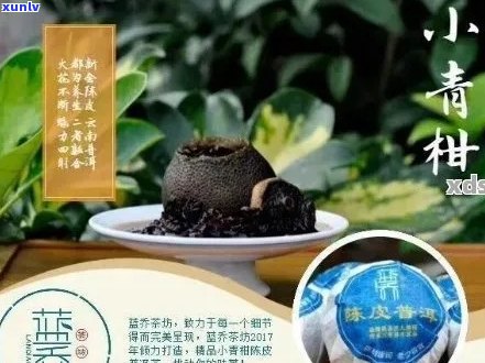 小青柑普洱茶有苦感