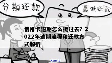 信用卡逾期如何返息最划算：2022年逾期流程、利息算法与还款建议