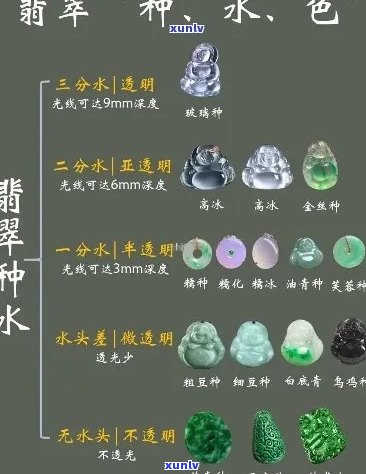 翡翠等级划分详解：如何准确分辨种、水、色、工四大要素