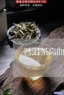 血压高能喝普洱茶不