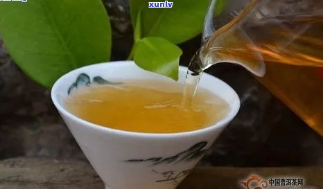 八达山普洱茶：品种特点、品质鉴与冲泡 *** 全面解析