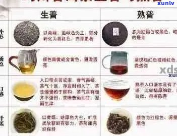 八达山普洱茶：品种特点、品质鉴与冲泡 *** 全面解析