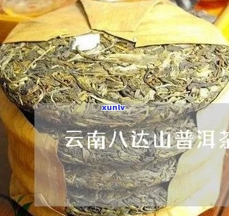 八达山普洱茶的特点