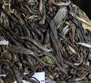 八达山普洱茶的特点