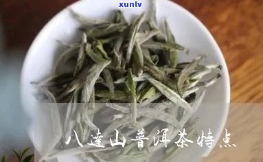 八达山普洱茶的特点