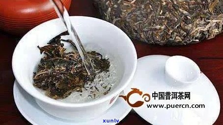 孩子是否能喝普洱茶