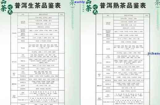 从价格、品质到产地，全面了解定海神针普洱茶的选购与品鉴指南