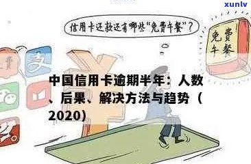 全面解决中国信用卡逾期问题：从原因、影响到应对策略的全方位指南