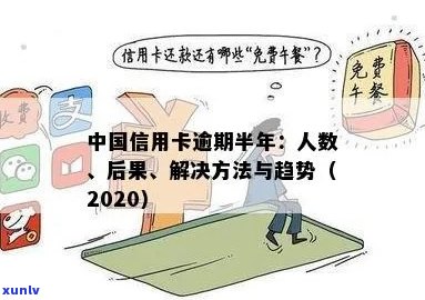 中国信用卡逾期人群