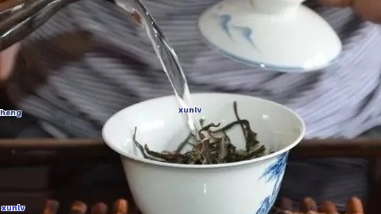 普洱茶冲泡：恰到好处的水与茶的比例