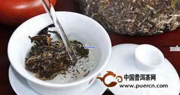 普洱茶冲泡：恰到好处的水与茶的比例