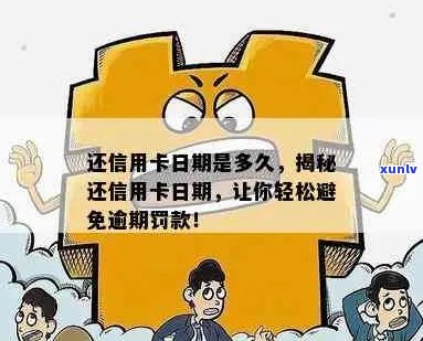 怎么推还信用卡：还款日期，避免罚息！