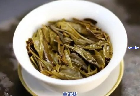 普洱茶冲泡技巧：水与茶叶的比例详解，助您品尝口感