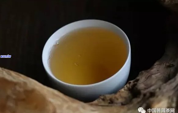 普洱茶茶水比为多少为宜：分析与建议