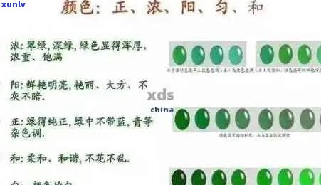 全面解答：如何区分不同品质的翡翠绿色？