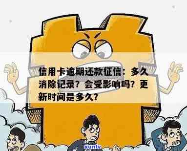 信用卡还款逾期的影响及恢复信用记录的时间探讨