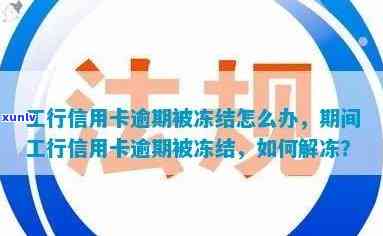 新信用卡逾期导致工商银行蓄卡被冻结，如何解除封锁并恢复使用？