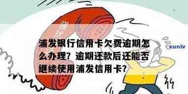 浦发信用卡逾期还款后多久可以再次使用？解答用户逾期还款后的相关问题。