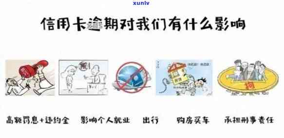 信用卡逾期不再的原因分析：政策调整、用户信用意识提升还是其他因素？