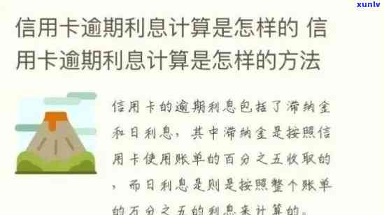 信用卡逾期利息计算 *** 详解，从基本概念到实际操作一步步指导