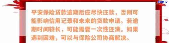 关于平安信用逾期半年的报案流程与解决 *** ，全面解答用户疑问