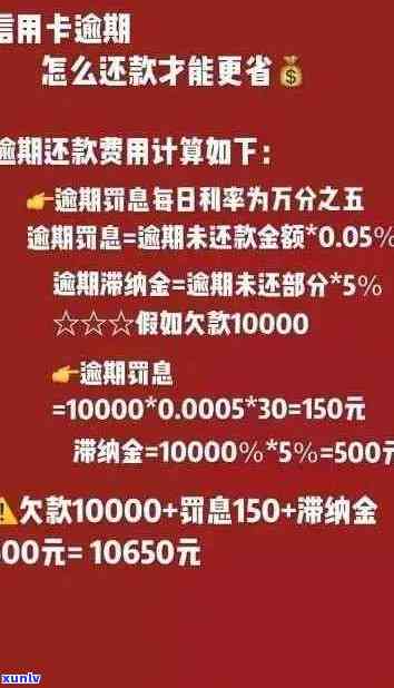 信用卡逾期还款策略：优先还本金还是利息？如何制定还款计划