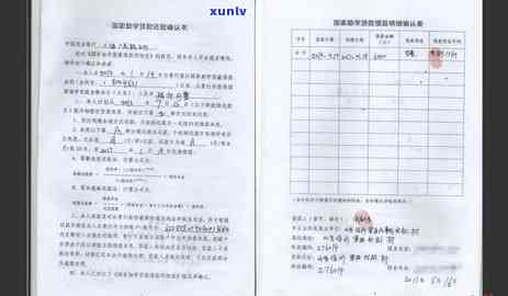 信用卡逾期去哪里消除记录：完整指南及解决策略