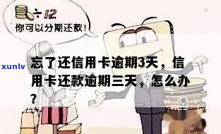 忘了还信用卡逾期3天怎么办？会有影响吗？