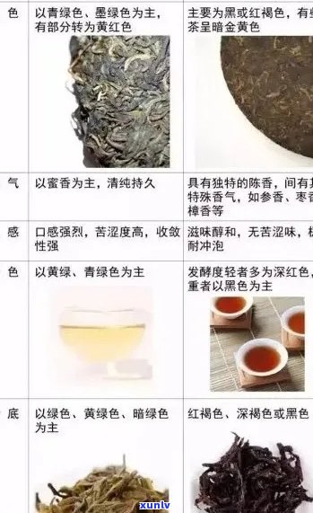 熟普与生普：哪个更适合你的茶叶品味？