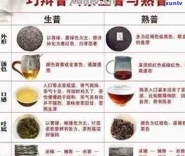 全面解析：十大普洱茶排行榜，助你轻松选购优质茶叶