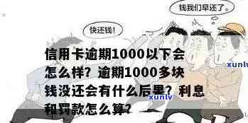 新「长达两年逾期的16000元信用卡债务：如何应对与解决？」