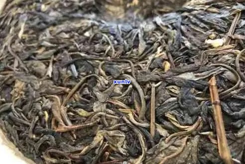 普洱茶隔夜喝是否有害？如何正确保存普洱茶以避免变质？