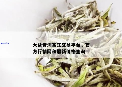 大益站官网最新价格查询，报价京东，行情官网