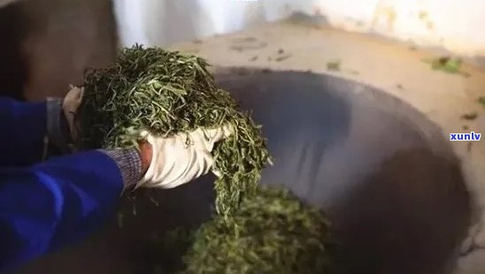 普洱茶杀青30分后的口感和安全性：能否继续饮用？